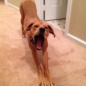 Meet your Posher, Mendy